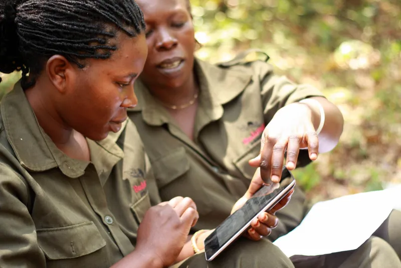Jane Goodall Institute: Mobile Innovation for Tracking Deforestation