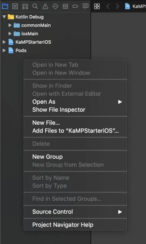 debug from your iOS application
