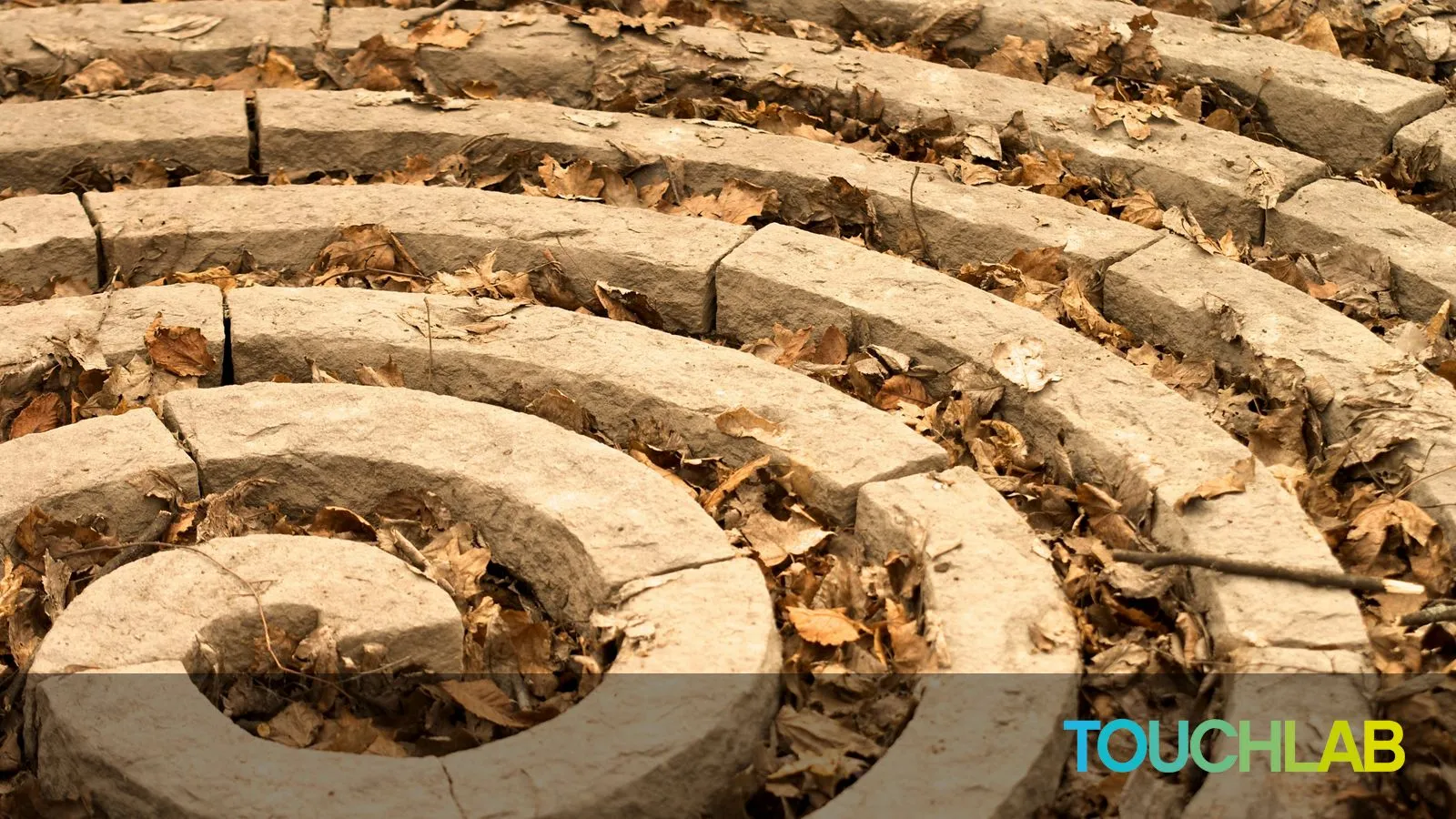 https://unsplash.com/photos/a-circular-stone-bench-surrounded-by-leaves-9MlspikNESw