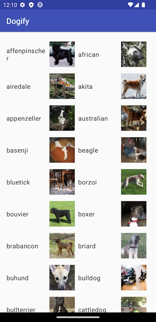 Dogify loaded