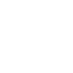 LINK NYC